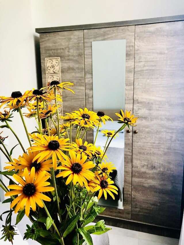Апарт-отели Hotel Kristal Кобулети-24